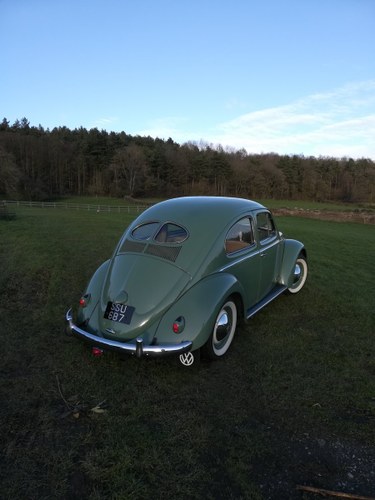 1953 Stunning Volkswagen zwitter For Sale