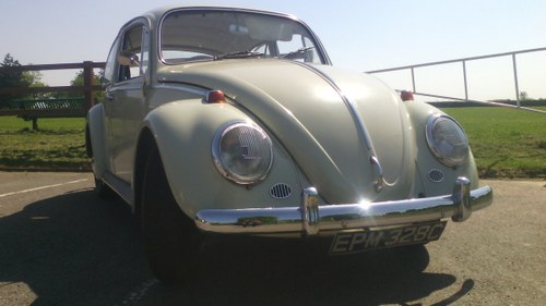 1965 much loved and reliable bug In vendita