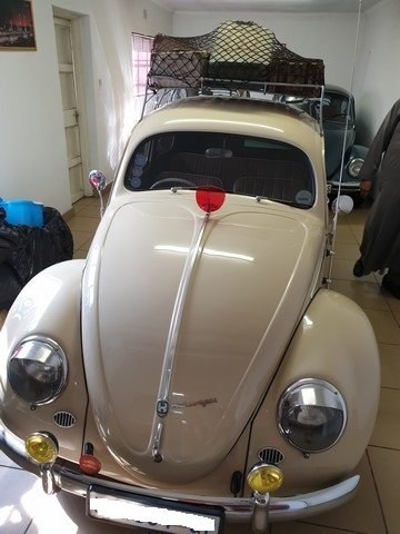 1953 VW Beetle 1100cc Split window Zitter In vendita