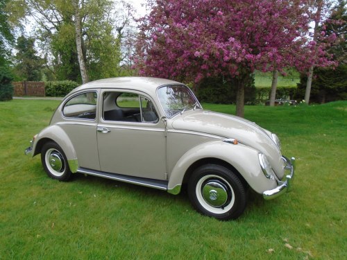 1966 Volkswagen Beetle 1300  For Sale