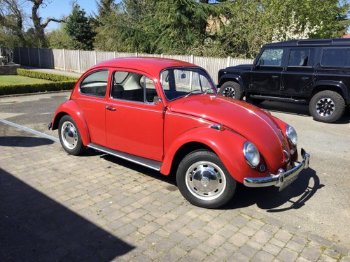 1967 (one year only) Beetle SOLD