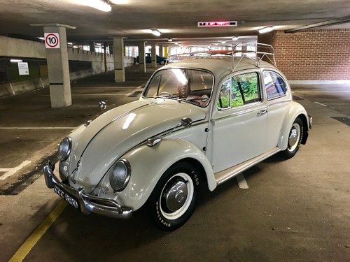 Volkswagen Beetle 1966 1300cc Pearl White For Sale