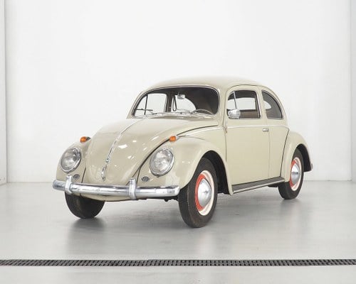 1955 Volkswagen Typ 11 Ovali-Käfer Zu verkaufen durch Auktion
