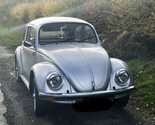 1978 Last Edition Beetle (138) For Sale
