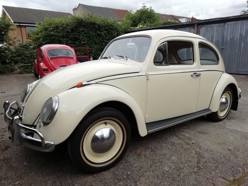 Immaculate 1963 beetle 1200 fully restored In vendita