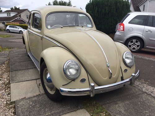 1957 OVAL BEETLE - from NZ SOLD