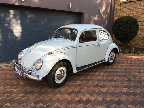 1964 VW Beetle For Sale