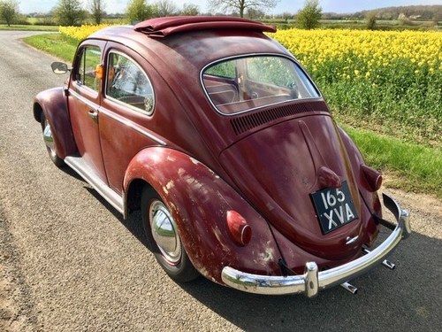 1959 Classic VW Beetle Golde Sunroof (Ragtop) LHD  In vendita