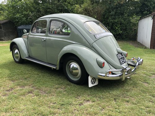 1958 VW Beetle RHD For Sale