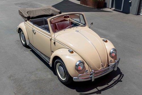 1967 Volkswagen Type 151 Beetle Convertible Clean Driver $31 In vendita