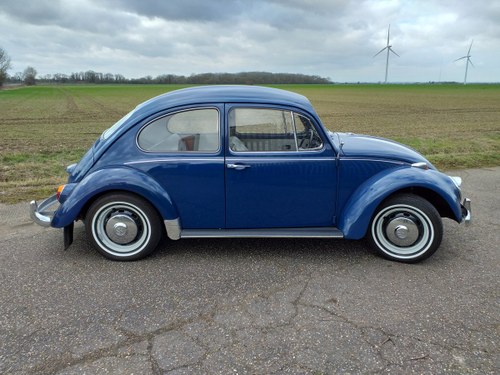 1966 VW Beetle 1500 SOLD
