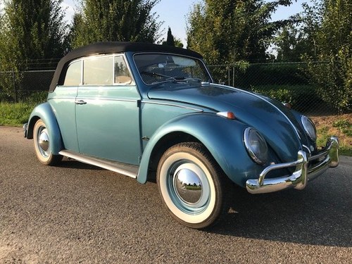 bug convertible 1964 body off restored like new In vendita