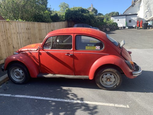 2019 Old car For Sale