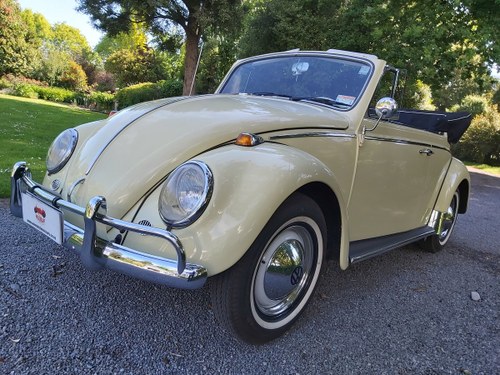 1965 Beetle Is This California Dreaming or What? For Sale