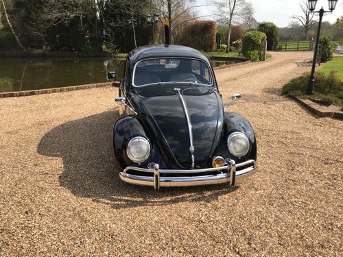 1958 VOLKSWAGEN BEETLE SHOW CAR       LOT: 558 For Sale by Auction
