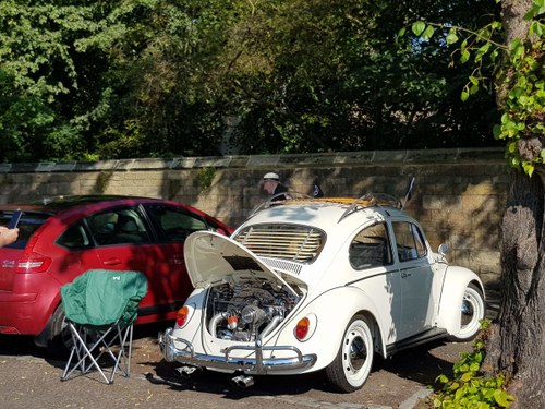 1967 Beetle stunning  For Sale