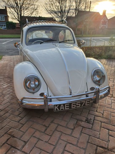 1967 VW beetle  In vendita