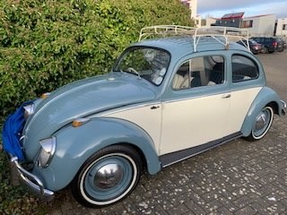1959 Beetle Beautiful 1960 Classic - Price Reduced! SOLD