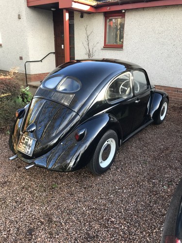1969 Restored Beetle For Sale