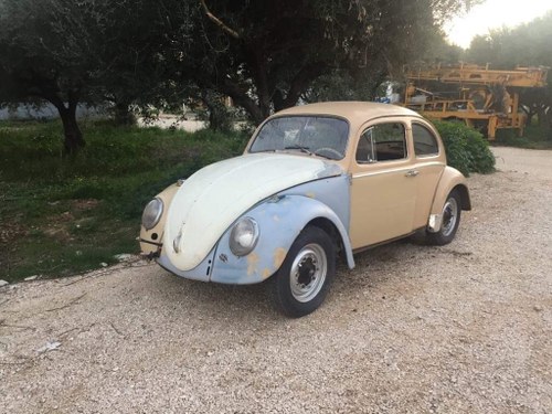 1963 Beetle - The love bug For Sale