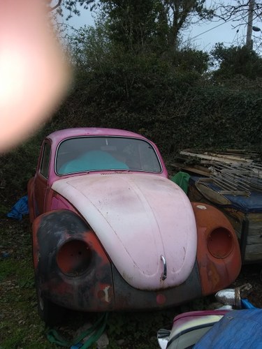 1969 VW beetle For Sale