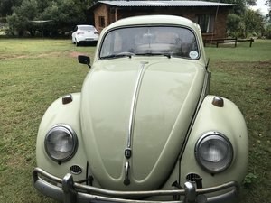 1960 VW Beetle Wolfburg  For Sale