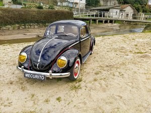 VW Carocha Oval - 1955 In vendita