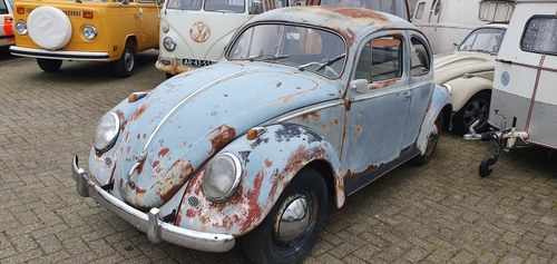 1957 Oval window to restore SOLD