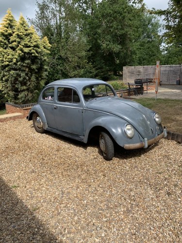 1955 Vw oval beetle standard  For Sale