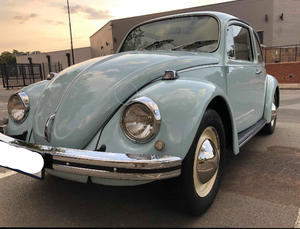 1969 South African Fully Restored Classc VW's