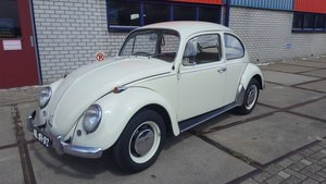 1966 Beetle 1500 For Sale