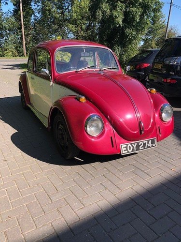 1971 VW Beetle For Sale