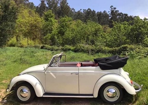 1962 Vw beetle cabrio  For Sale