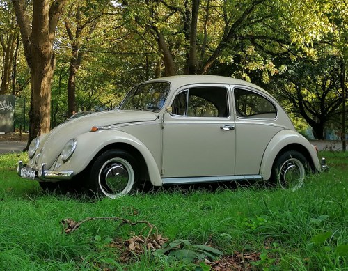 1967 VW Beetle 1500  "One year only" model For Sale