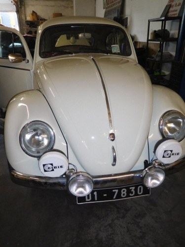 1959 VW BEETLE  For Sale