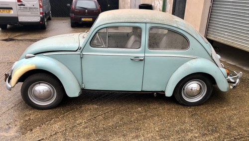 1964 1 Owner VW Beetle For Sale