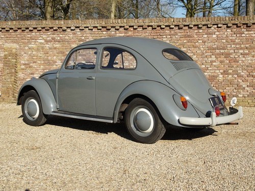 1955 Volkswagen Beetle - 2