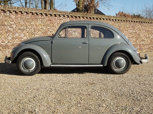 1955 Volkswagen Beetle - 6