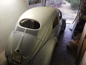 1956 Unfinished Project VW Beetle - Oval For Sale (picture 1 of 11)