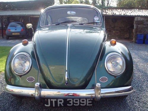 1967 VW Beetle SOLD