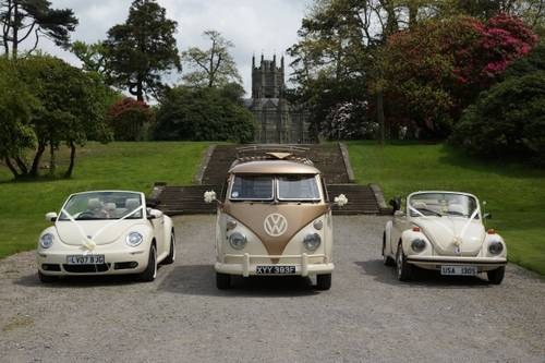 1965 VW Splitscreen and Beetle Wedding car Hire A noleggio
