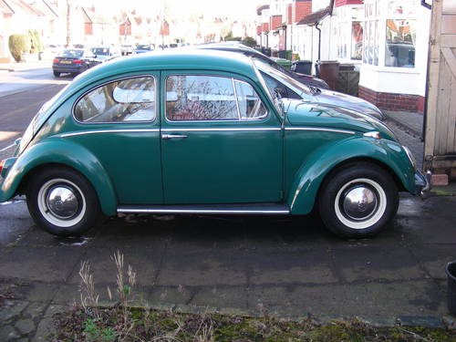 1965 VW Beetle VENDUTO