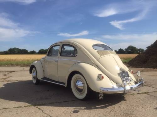NOW SOLD - 1953 Volkswagen Oval Beetle VENDUTO