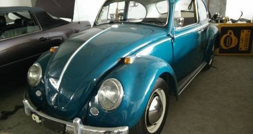 1964 VW Beetle For Sale