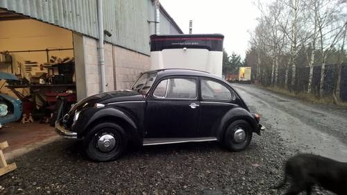 1972 VW Beetle 1300 For Sale