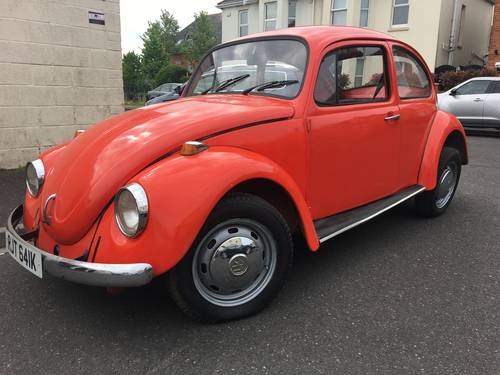 Volkswagen Beetle - 1972 - Project VENDUTO