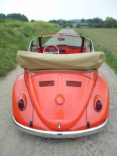1969 Volkswagen beetle-kaffer convertible( new price 20.000 euro) In vendita
