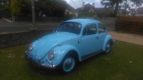 1966 VW BEETLE CLASIC For Sale
