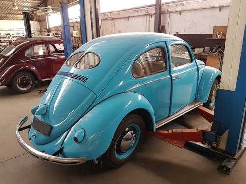1952 Volkswagen Beetle Split 2 Glasses For Sale