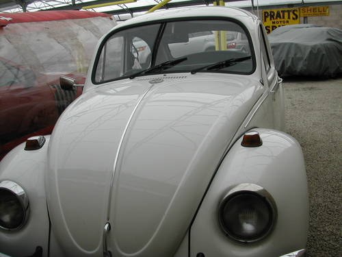 1969 White original beetle In vendita